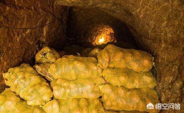 過(guò)年必須吃什么菜？